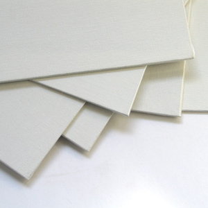 Canvas Board 12x10 inch