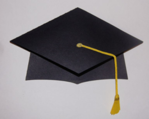 Paper DIY Graduation Hats 20pk