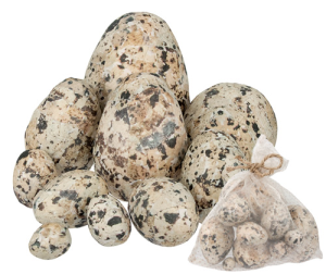Poly Speckled Eggs Asst 10s