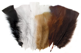 Feathers Natural 60g