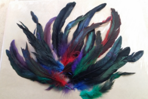 Feathers Cocktail 10-30cm 19pk