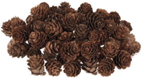 Mini Pine Cones 190g