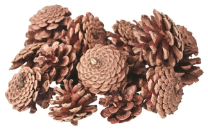 Pine Cones 200g