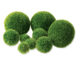 Texture Poly Balls