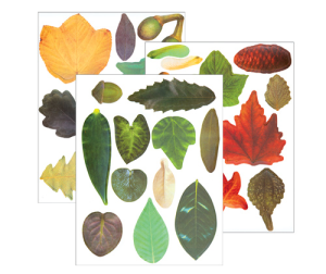 Crafty Leaves 266s Assorted