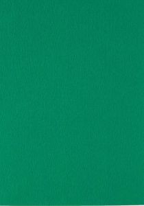 Cover Paper A3 Dark Green (500 sheets)