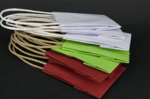 Paper Bags Christmas 12pk