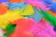 Feathers Asstd Colours 250pk