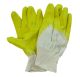 Budget Gripper Knit Wrist (120 Pairs)