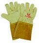 Firebird (50 Pairs)