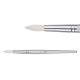 Taklon Brush Dynamic Round # 8 Width-9mm BR322