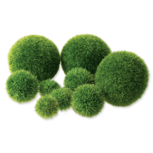 Texture Poly Balls